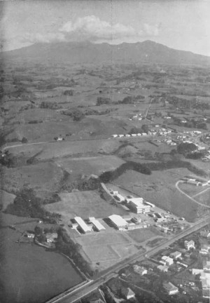 Aerial Photo of Spotswood College  Late-1960