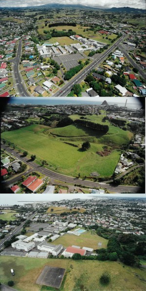 Aerial Photo of Spotswood College 1999