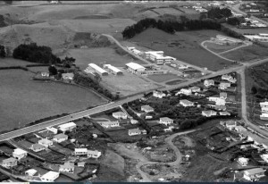 Aerial Photo of Spotswood College 11 November,1960 (Daily News)